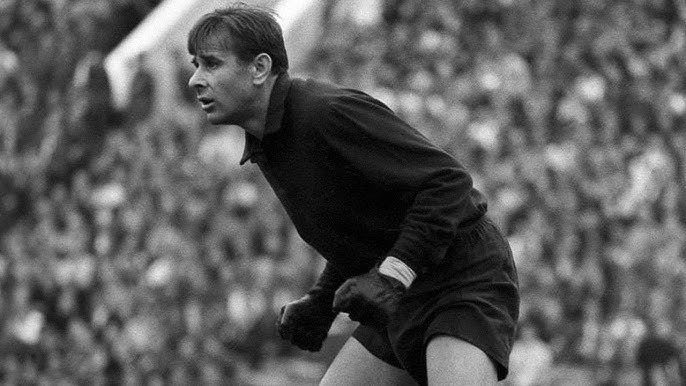 who-has-the-most-clean-sheets-in-football-history-the-goalkeeping-legends-ranked